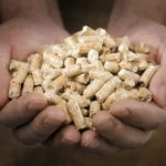 پلت چوب در دستان.